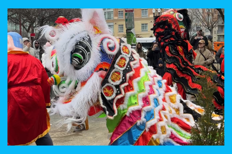 Lion dance at the lunar new year