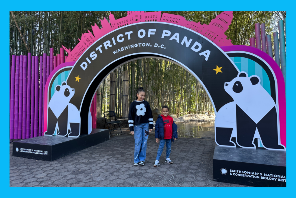 District of Panda display at the National Zoo