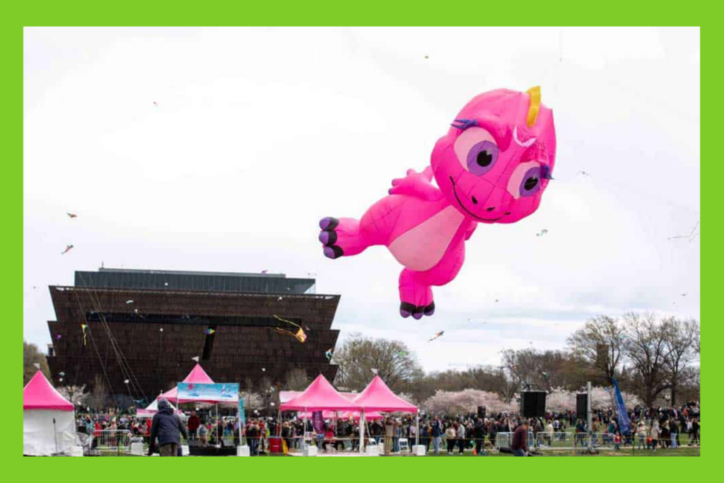Kite in flight at the Cherry Blossom Kite Festival