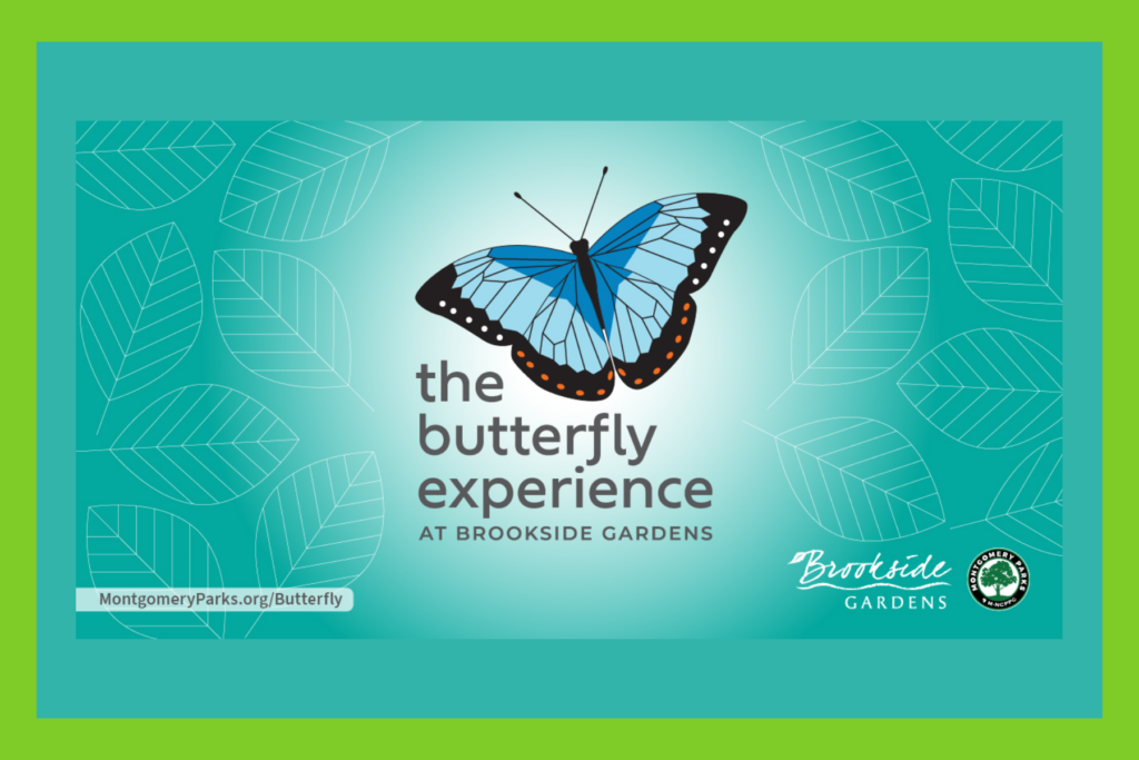 The Butterfly Experience at Brookside Gardens