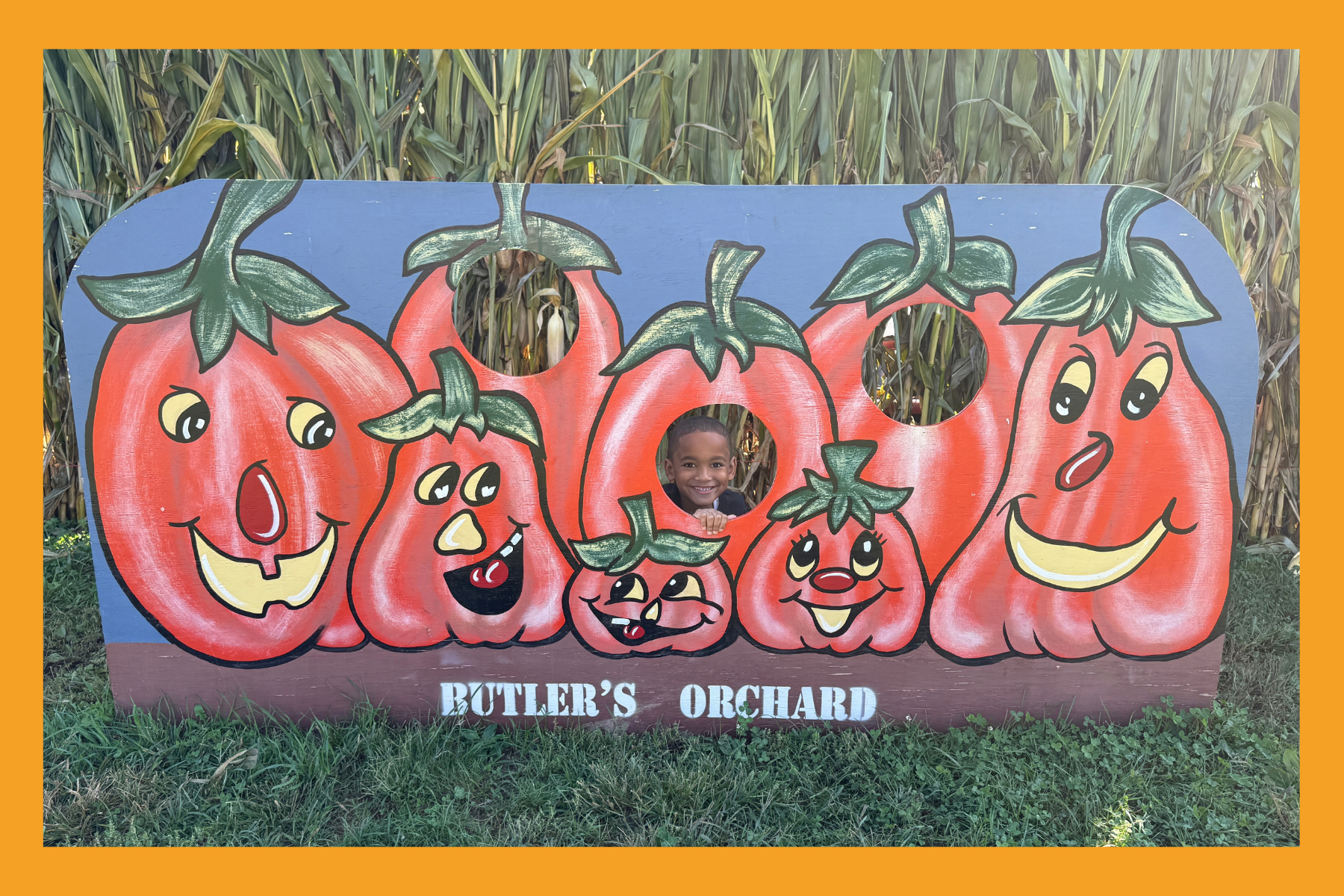 a boy smiles behind a pumpkin wall at Butler's Orchard.