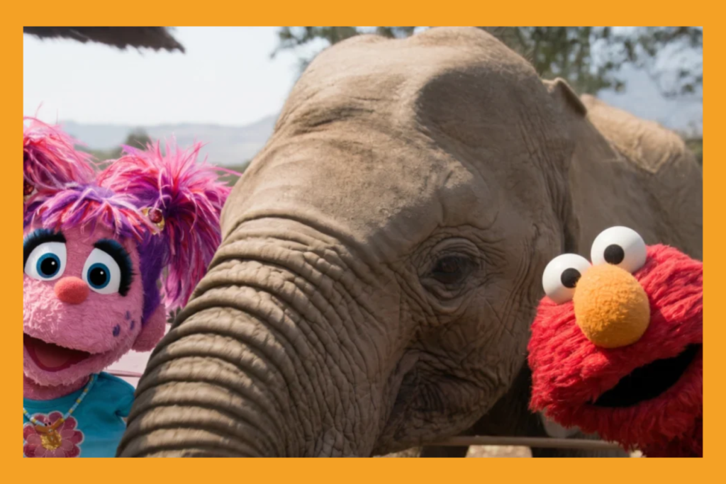 elmo and abby with an elephant.