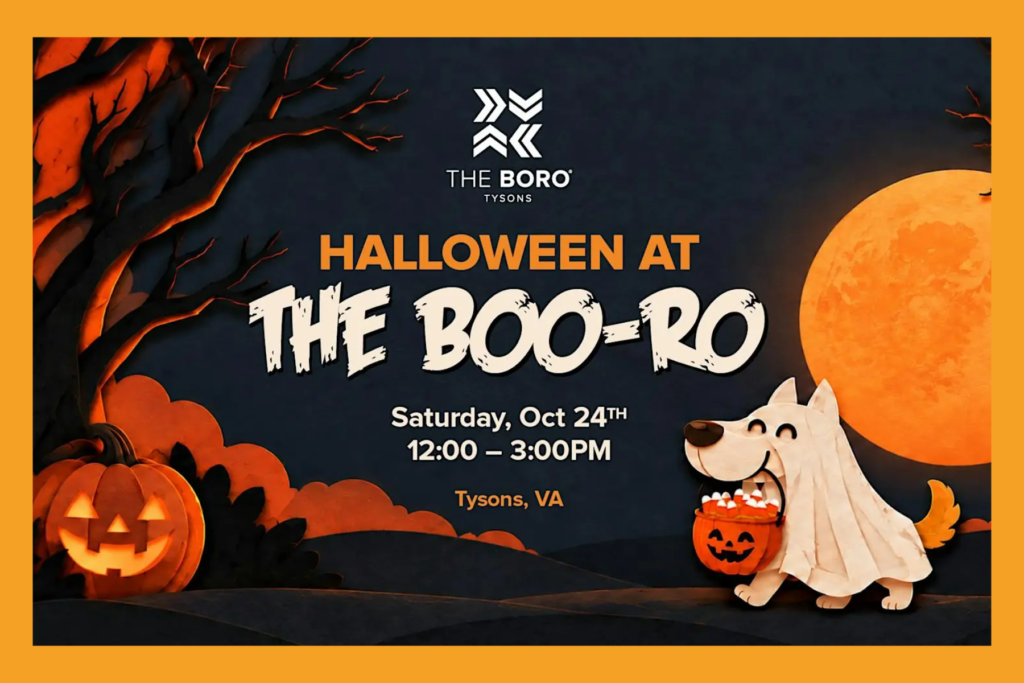 Halloween at The Boo-ro flyer.
